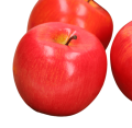 38761-removebg-preview.png