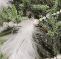 50226_0004.png