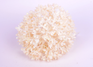 Kula bukszpanowa brokatowa MYH194168