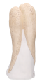 1077-8_0002.png