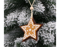 zawieszka_piernikowa_gwiazdka_SHY-W8273A_2D_0004_large.png