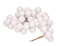 myh190233-1_0005-removebg-preview.png