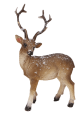 25361_0001-removebg-preview.png