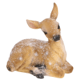 25359_0004-removebg-previewk.png