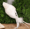265192_0003.png