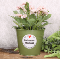osłonki doniczki dzień babci_2d_0009.png