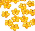 PAB1330_A11_0001-removebg-preview.png