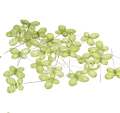 74.462_0001-removebg-preview.png
