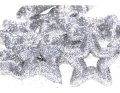 myh192722_gwiazdki_srebro_2D_0003_large.png