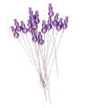 e1eaba91-ad1d-45ce-81fa-76f5ccc70f02.png