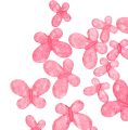a.png