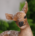 25359 ab_0005.png