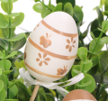 6CM EGG WS MIX 2 nnowe_2d_0002.png