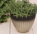 P0602-16GL_2d_0003.png