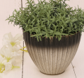 P0602-16GL_2d_0004.png