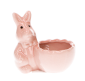 zając roz MYH666363_zajac_2d_0001.png