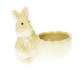 zając żółty MYH666363_zajac_2d_0001.png