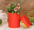 H1910123 MIX RED_2d_0002.png