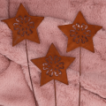 720254X-9.3_2d_0002.png
