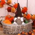 dp222-710ab nowe_2d_0006.png
