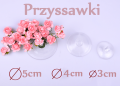 przyssawki wszystkie.png