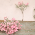 faf3b7068ff6275bb284655729cd693d.png