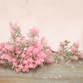 17ae61c271fb58b6184826eaa789488c.png