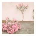 3fbd56f99f7425ea7c63d7599ebc3be0.png