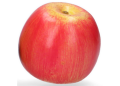 myh196031_cz.png