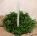 febac294d3775b7a5975390d2feb3e08.png