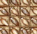 502746093e315922909f8996d112232b.png