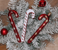 cfe660dbb237a75e4074f047f66d3a44.png
