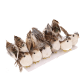 9fe50af8ad35c1d6025065f4db0e471b.png
