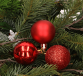 c8405b8fc6ec2cc192310808f3ff8bba.png