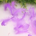75430b0f75e239e9899ce897026daf2a.jpg