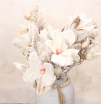 Gałązka Magnolia ośnieżona