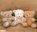 1MYH669547C_2d_0005.png