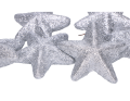 myh192979-2_gwiazdki_srebro_2D_0002_large.png