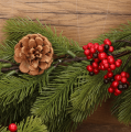 319d48202bbf476e91a9c2e455bc337d.png
