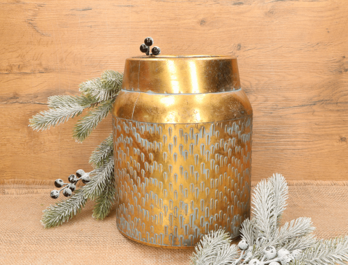 donica Mikołajczyk 988673_2d_0004.png