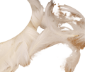 0e55f3de6bee9c6295ebc625209c5304.png