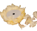 0cb11640764ad8fc89d802fab7edd6b2.png