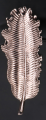 MYH199909_miedz_lisc_2d_0001.png