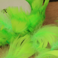 f38464653cb69a5d211031b2e2260062.png