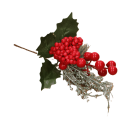 1a4fec0d6b5382292b5d6d767a9c51e4.png