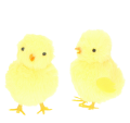 3aa9dc6cd3b0d704dd90d7073724b351.png