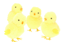 f58d95bc798e93e333b7e4386b822184.png