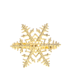1e7079830a7084bae22df0cff57ac79f.png