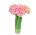 a1d7e97ce3f8098ec303047a49a905f9.png