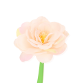 1b5785fb05ea0ac86c95c98223455d67.png